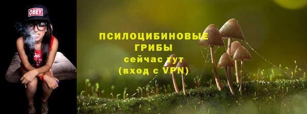 ALPHA PVP Снежинск