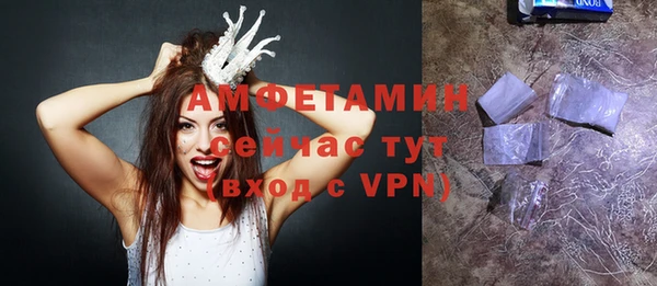 прущие грибы Вяземский