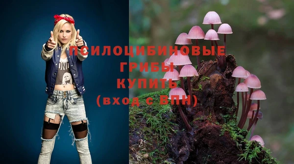 прущие грибы Вяземский