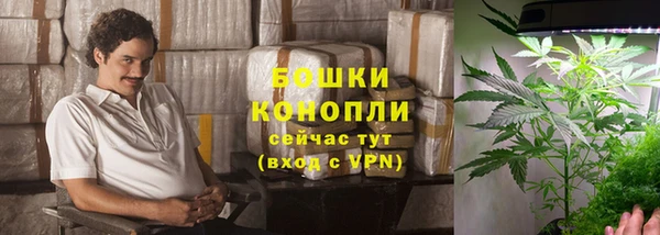 прущие грибы Вяземский