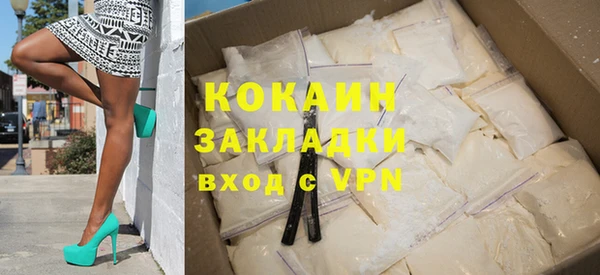 прущие грибы Вяземский